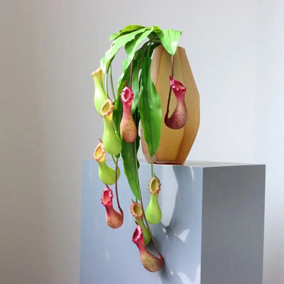 Nepenthes Artificielle - 78 cm