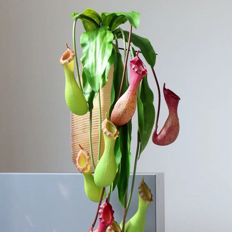 Nepenthes Artificielle - 78 cm