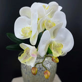 Orchidée Artificielle Haut de Gamme - 70 cm Blanc et Jaune