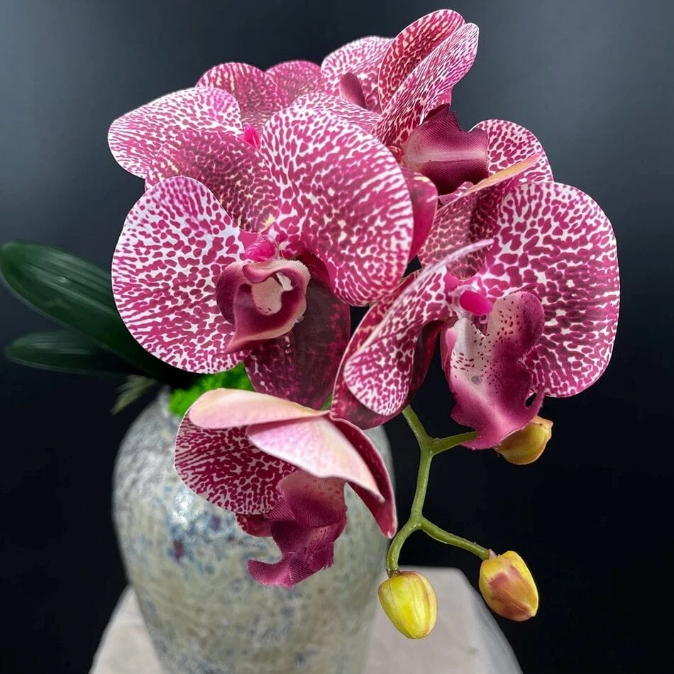 Orchidée Artificielle Haut de Gamme - 70 cm Rose Tacheté