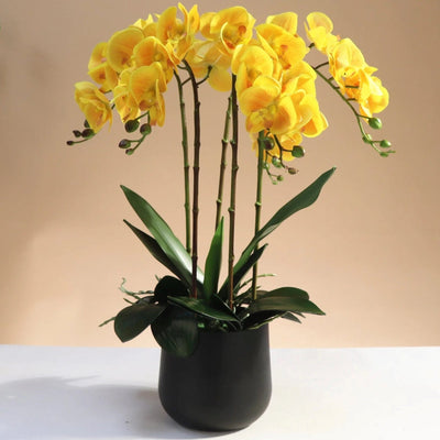 Orchidée Artificielle Luxe - Jaune