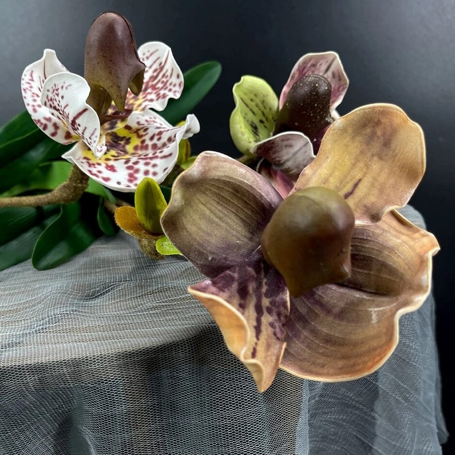 Orchidée Artificielle Paphiopedilum 48 cm, Marron