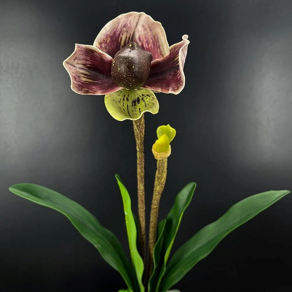 Orchidée Artificielle Paphiopedilum (48 cm) (Violet et Vert)