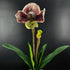 Orchidée Artificielle Paphiopedilum (48 cm) (Violet et Vert)