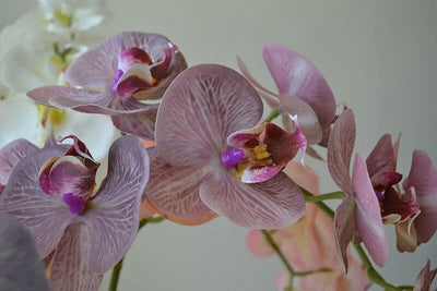 Orchidée Artificielle Phalaenopsis (Lot de 4) - 99 cm