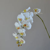 Orchidée Artificielle Phalaenopsis (Lot de 4) - 99 cm