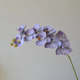 Orchidée Artificielle Phalaenopsis (Lot de 4) - 99 cm