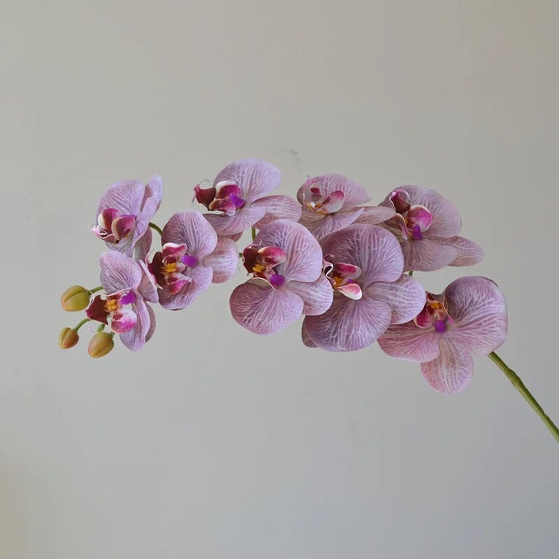 Orchidée Artificielle Phalaenopsis (Lot de 4) - 99 cm