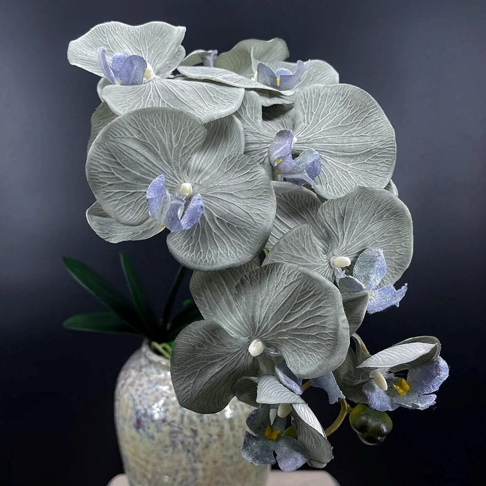 Orchidée Artificielle XXL Gris 90 cm