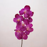 Orchidée Vanda Artificielle - 79 cm (Par 4)