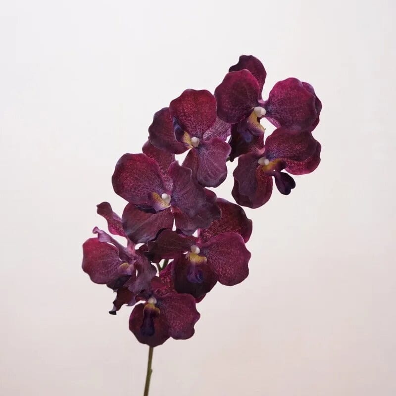 Orchidée Vanda Artificielle - 79 cm (Par 4)