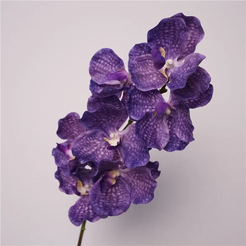 Orchidée Vanda Artificielle - 79 cm (Par 4)