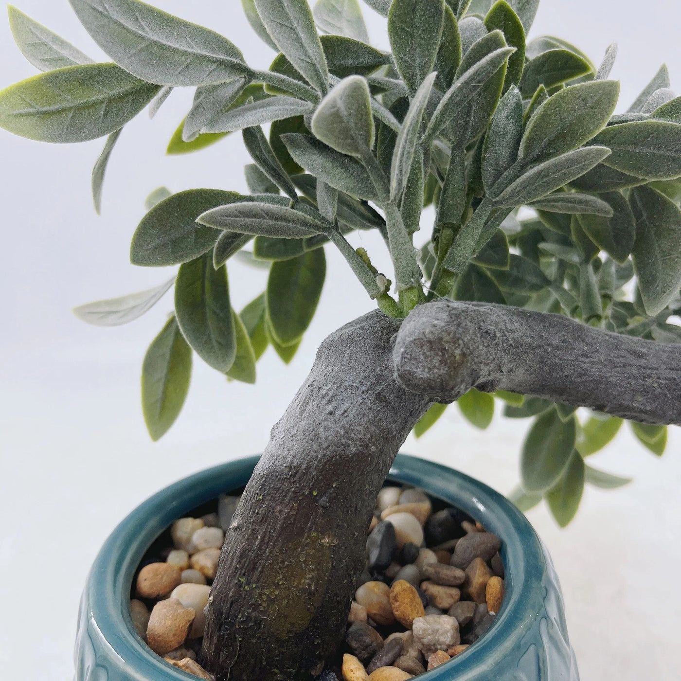 Petit Arbre Eucalyptus Artificiel en Pot