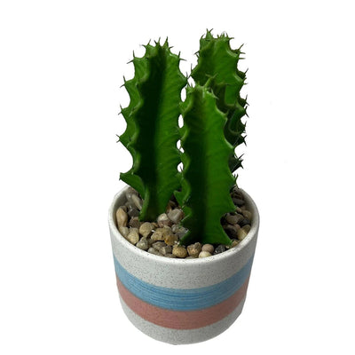 Petit Cactus Artificiel Déco