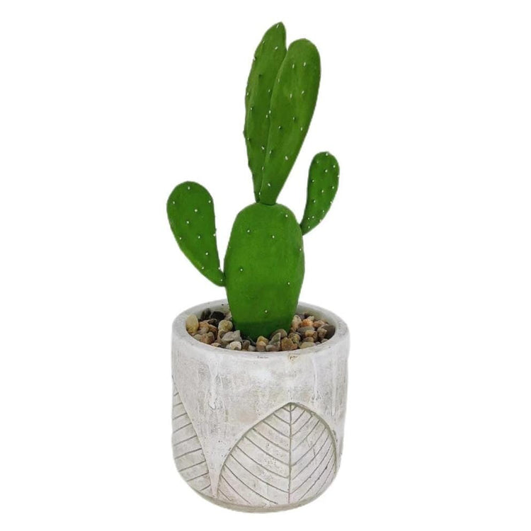 Petit Cactus d'Intérieur Haut de Gamme - 28 cm