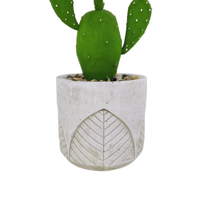 Petit Cactus d'Intérieur Haut de Gamme - 28 cm