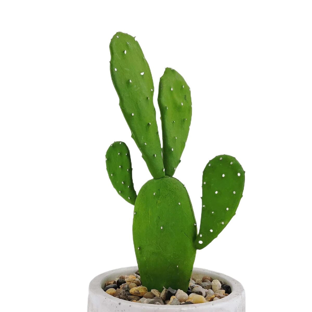 Petit Cactus d'Intérieur Haut de Gamme - 28 cm