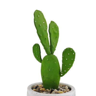 Petit Cactus d'Intérieur Haut de Gamme - 28 cm