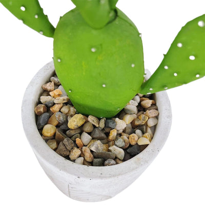 Petit Cactus d'Intérieur Haut de Gamme - 28 cm