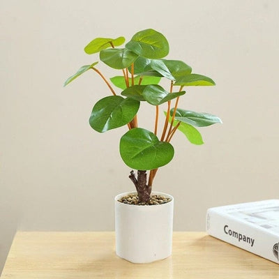 Petit Ficus Elastica Artificiel en Pot - 33cm