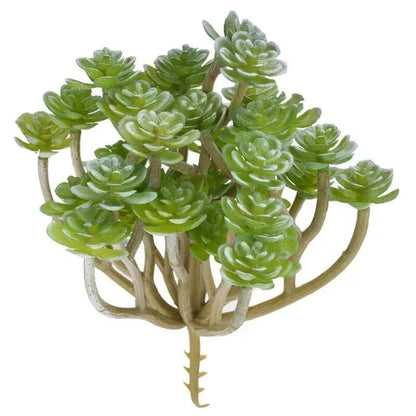 Petite Plante Grasse Artificielle (Aeonium) - 14cm