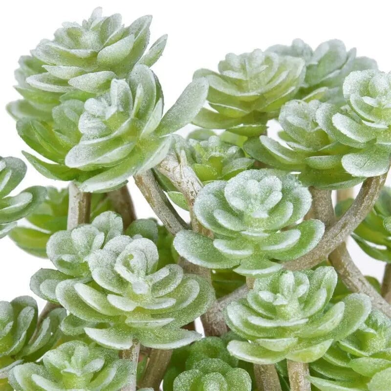 Petite Plante Grasse Artificielle (Aeonium) - 14cm