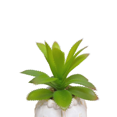 Petite Plante Succulente Artificielle - 15,9 cm