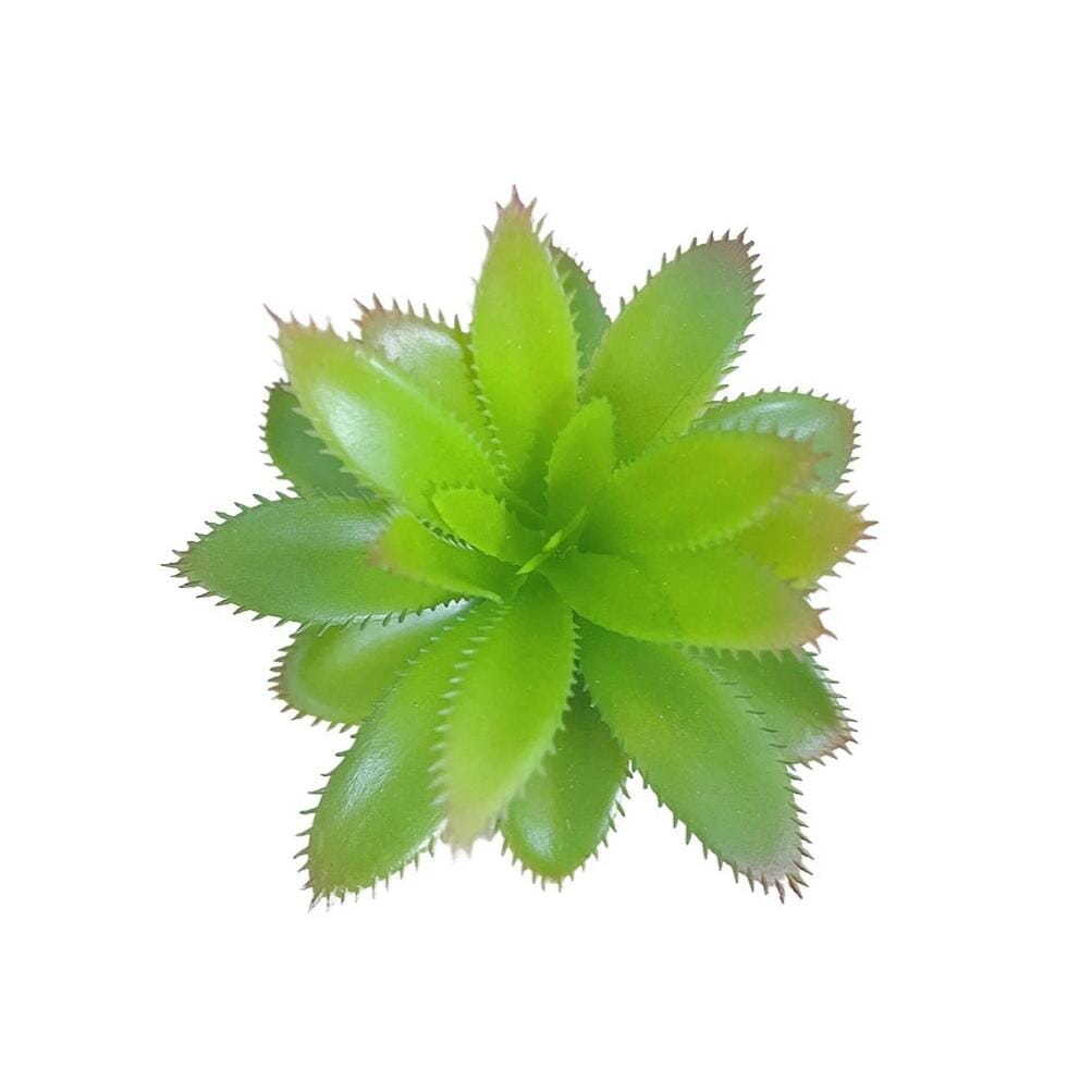 Petite Plante Succulente Artificielle - 15,9 cm