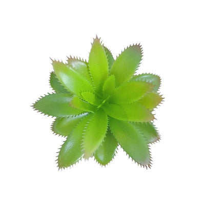 Petite Plante Succulente Artificielle - 15,9 cm