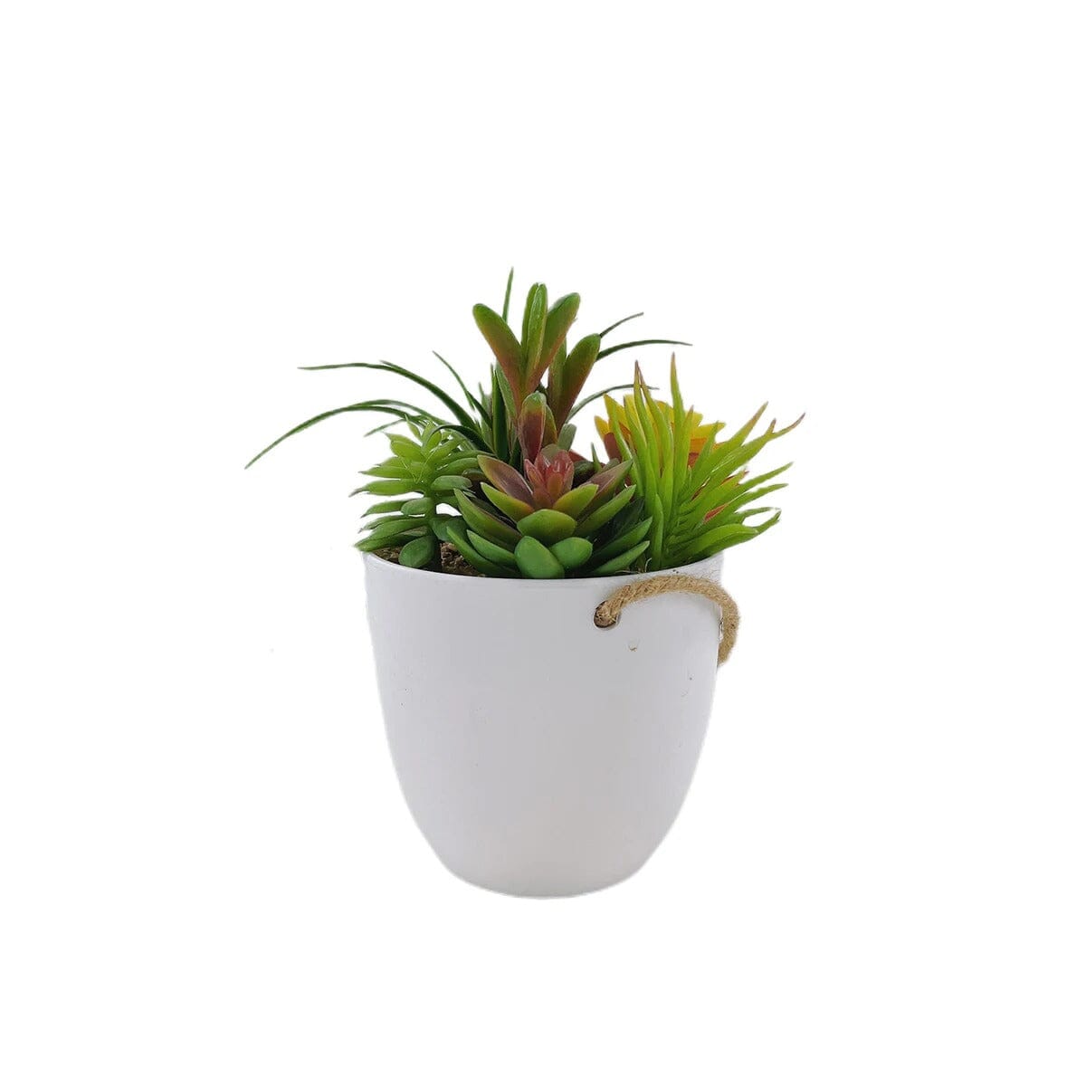 Petite Plante Succulente Artificielle Suspendue