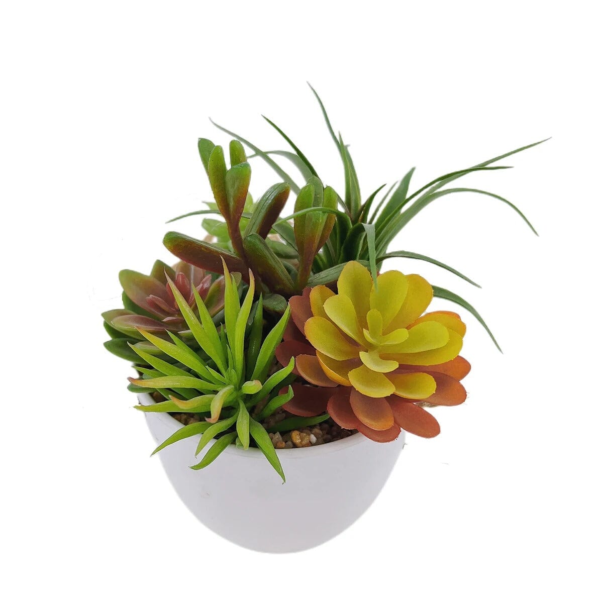 Petite Plante Succulente Artificielle Suspendue