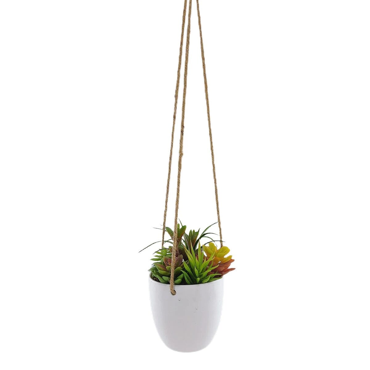 Petite Plante Succulente Artificielle Suspendue