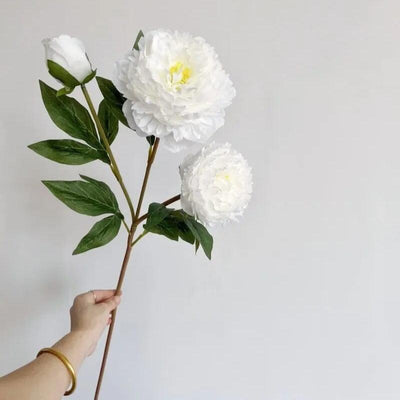 Pivoine Artificielle Blanche - 75 cm