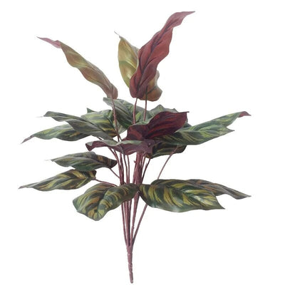 Plante Artificielle Calathea - 50 cm