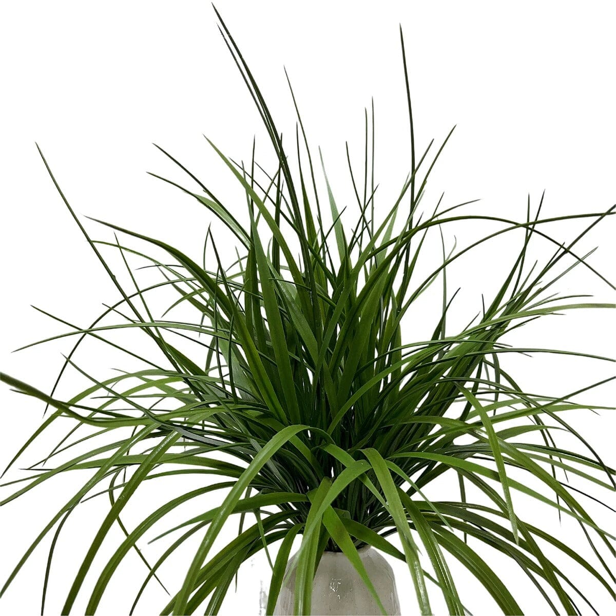 Plante artificielle d&