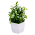 Plante artificielle en pot - Feuillage vert et petites fleurs blanches - 19 cm