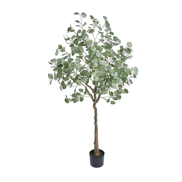 Plante Artificielle Eucalyptus - 182 cm