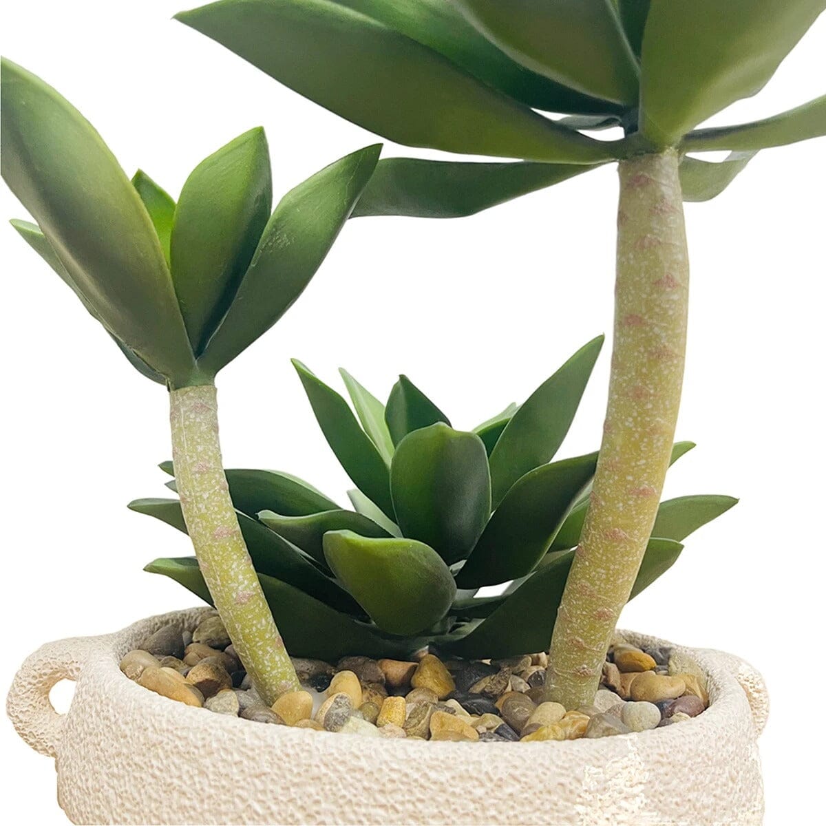 Plante Artificielle Grasse avec Pot (succulente)