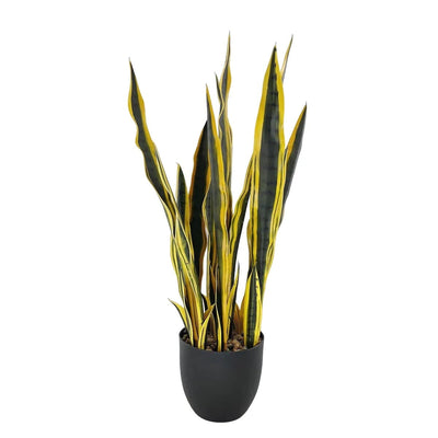 Plante Artificielle Sansevieria Laurentii - 75 cm