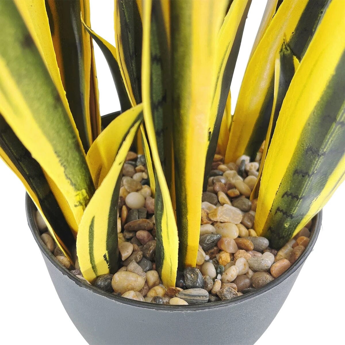 Plante Artificielle Sansevieria Laurentii - 75 cm