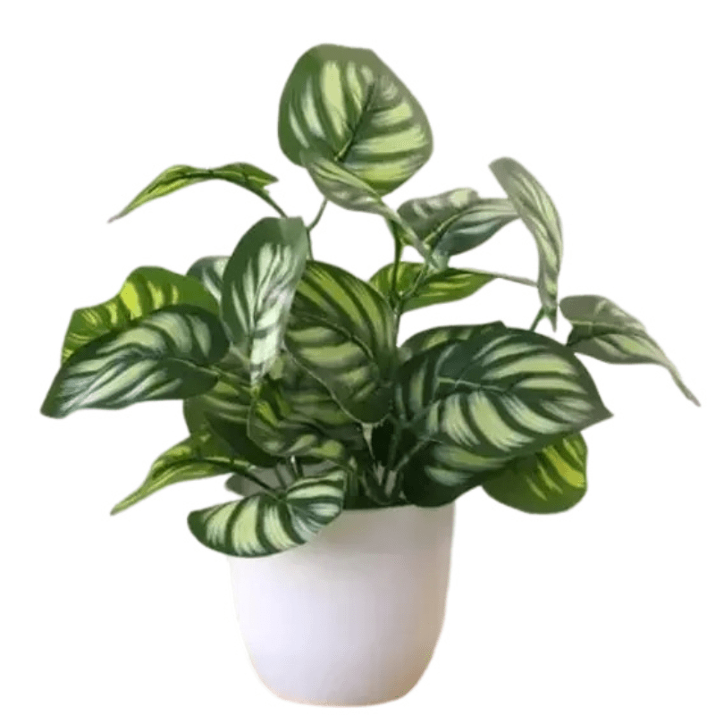 Plante Calathea artificielle en pot blanc – Décoration végétale