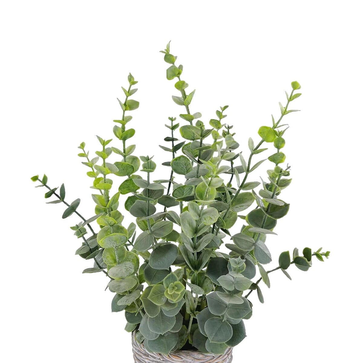 Plante Eucalyptus Artificiel en Pot - 46 cm