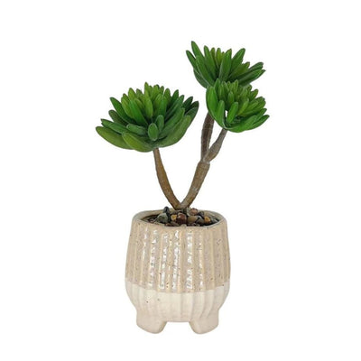 Plante Grasse Artificielle pour Étagère - 29 cm