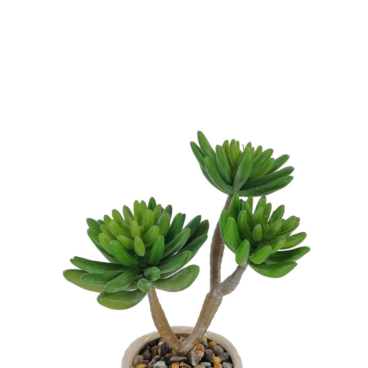 Plante Grasse Artificielle pour Étagère - 29 cm