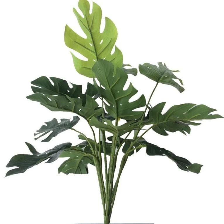 Plante Monstera Artificielle - 50 cm