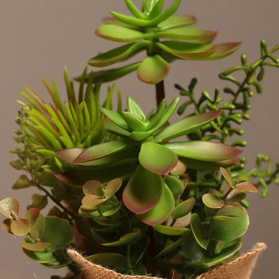 Plante Succulente Artificielle Déco Intérieur - 25 cm