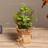 Plante Succulente Artificielle Déco Intérieur - 25 cm