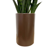 Plante Succulente Artificielle en Pot - 57 cm