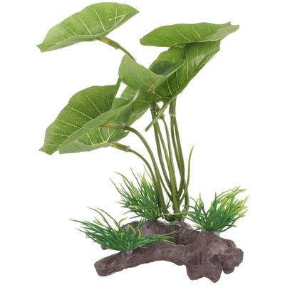 Plante Verte Pour Aquarium