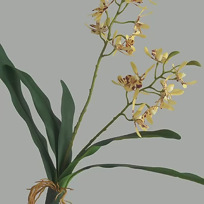 Orchidée Brassia Artificielle - 45 cm